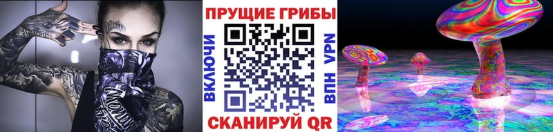 Купить закладки  Заречный  Псилоцибиновые грибы мухоморы 